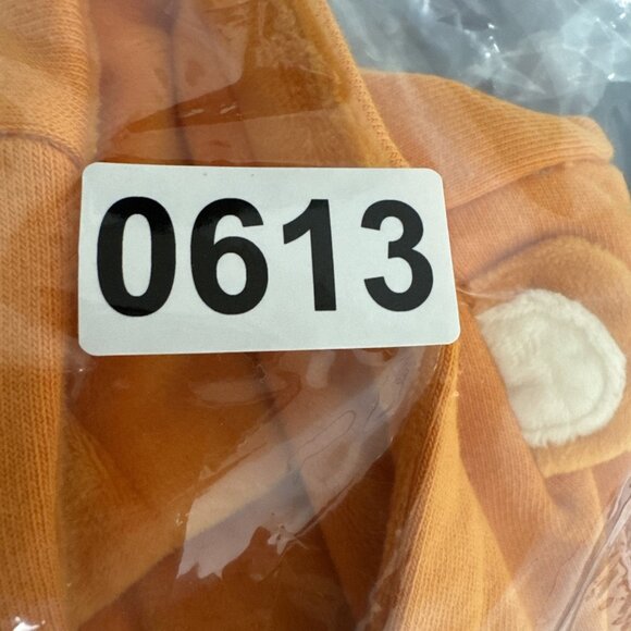 Cubcoats Hoodie Sweatshirt W/Ears Zips into Plushie Toy Age 6-7 Orange NWT - Picture 11 of 11